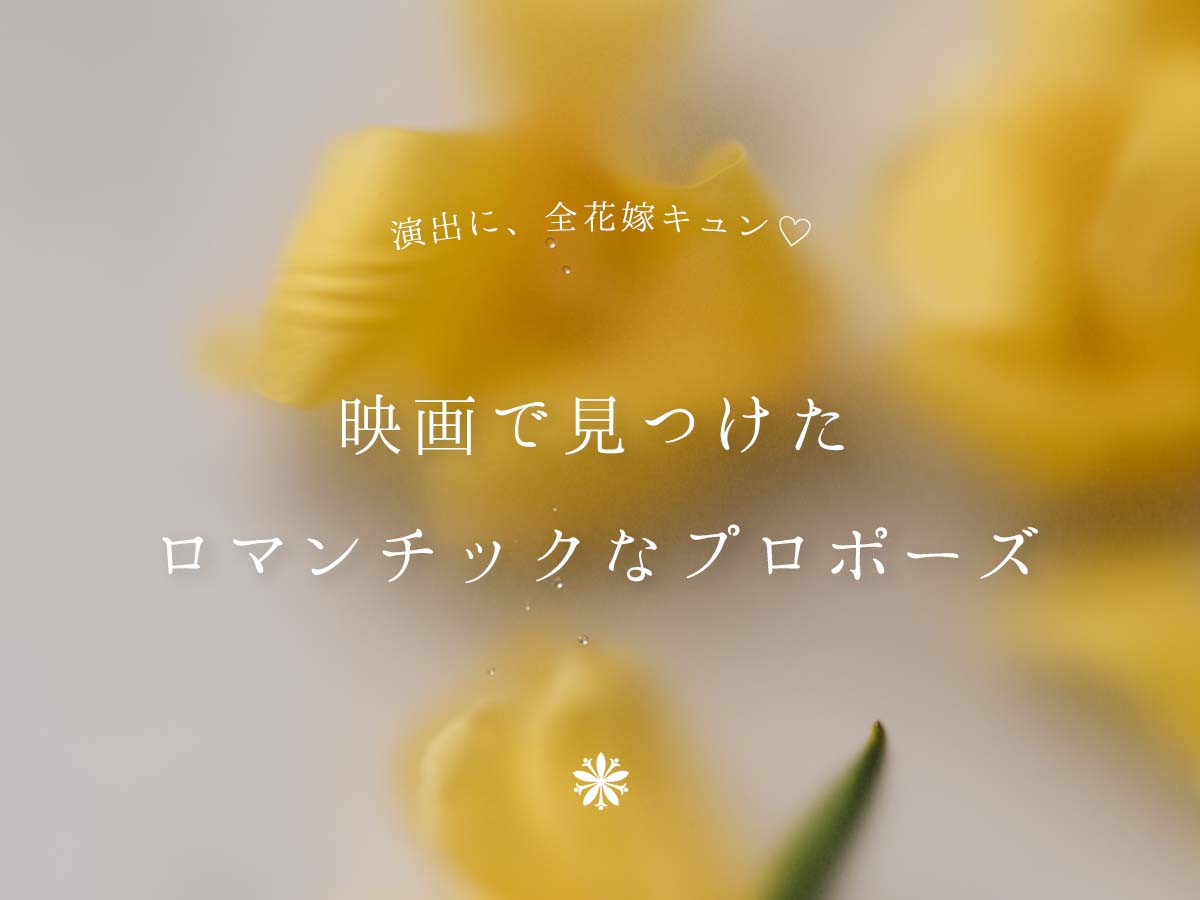 広島県広島市と広島県福山市の中国地方最大級の品揃えのセレクトジュエリーショップVANillAヴァニラがおすすめするプロポーズのシチュエーションがロマンチックな映画