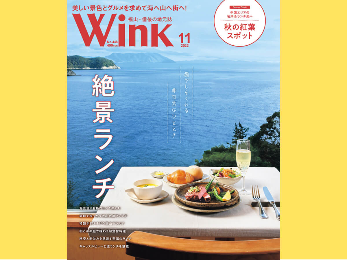 Wink11月号