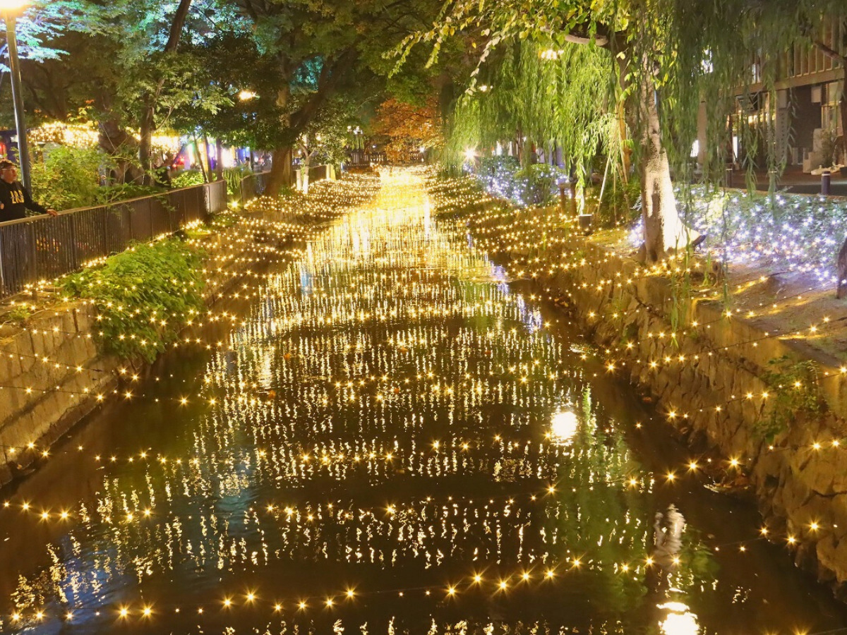 西川緑道公園 イルミネーション