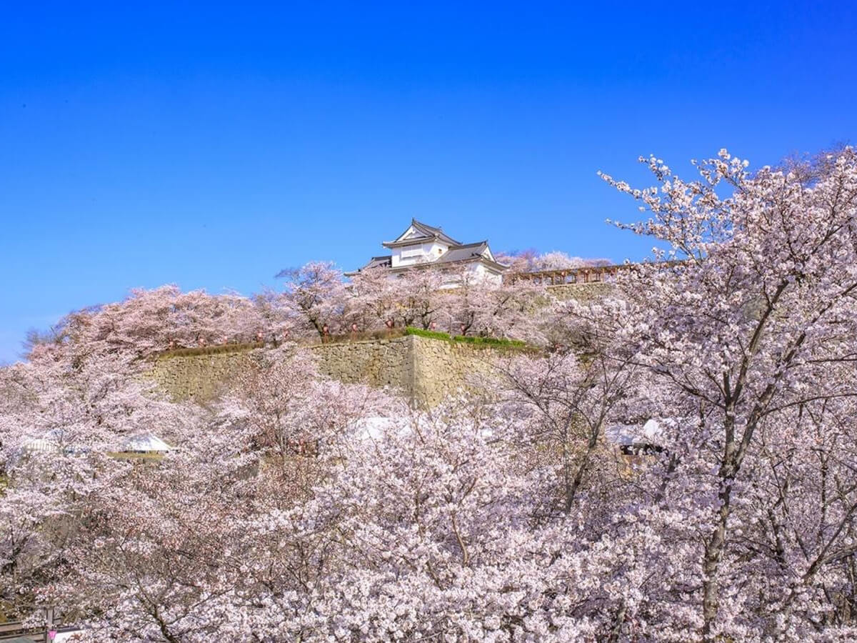津山城（鶴山公園）