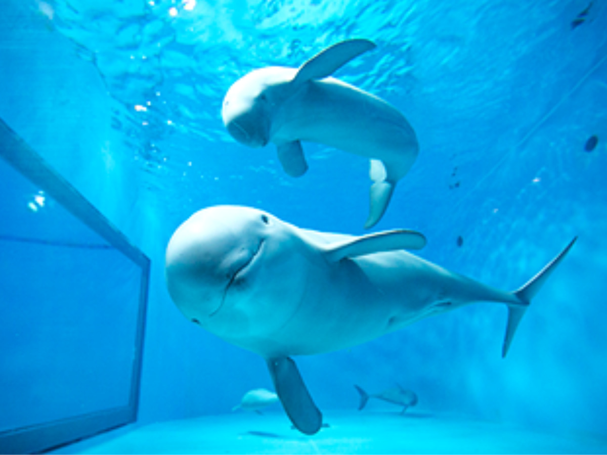 宮島水族館 みやじマリン
