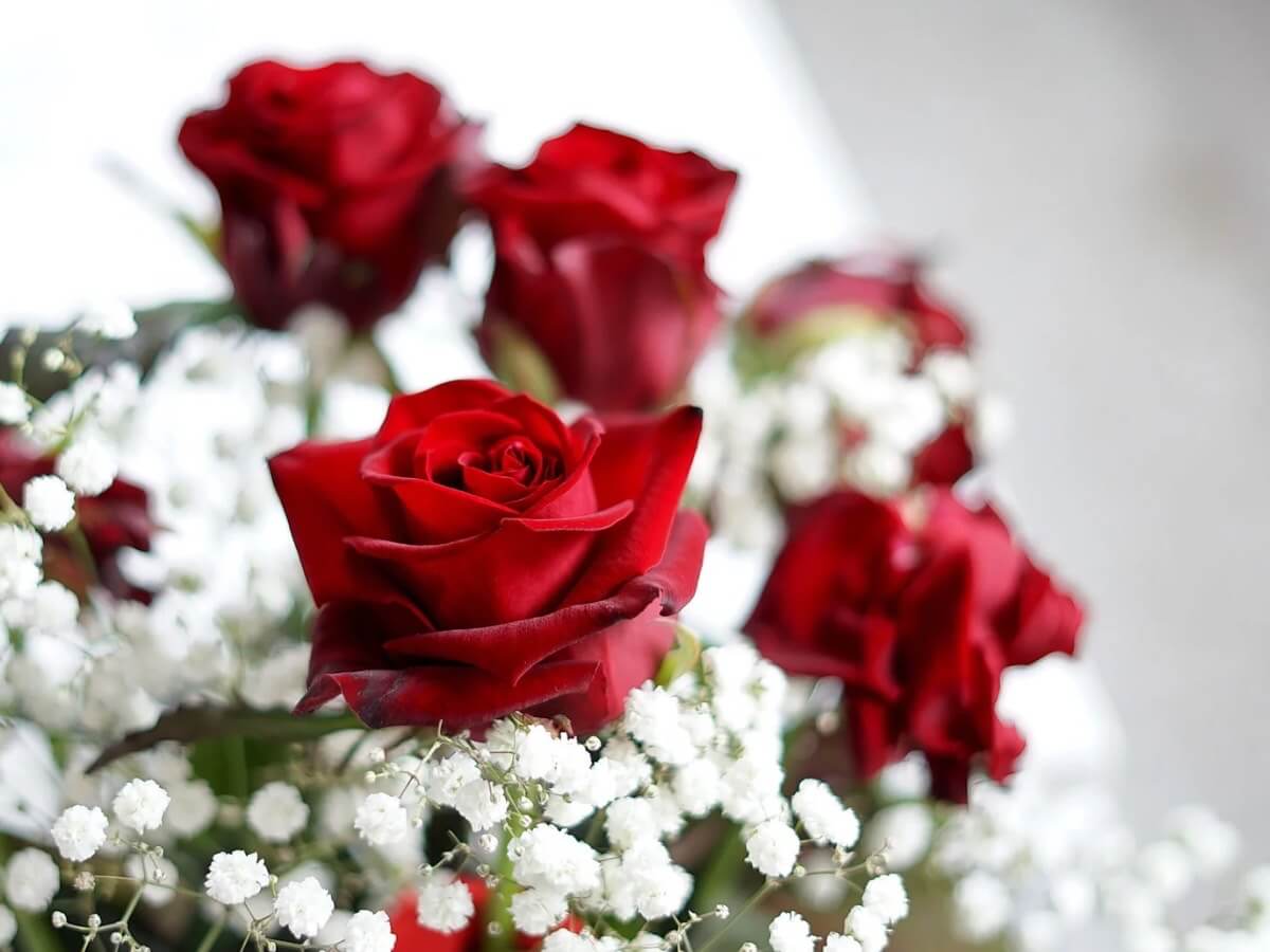 花 