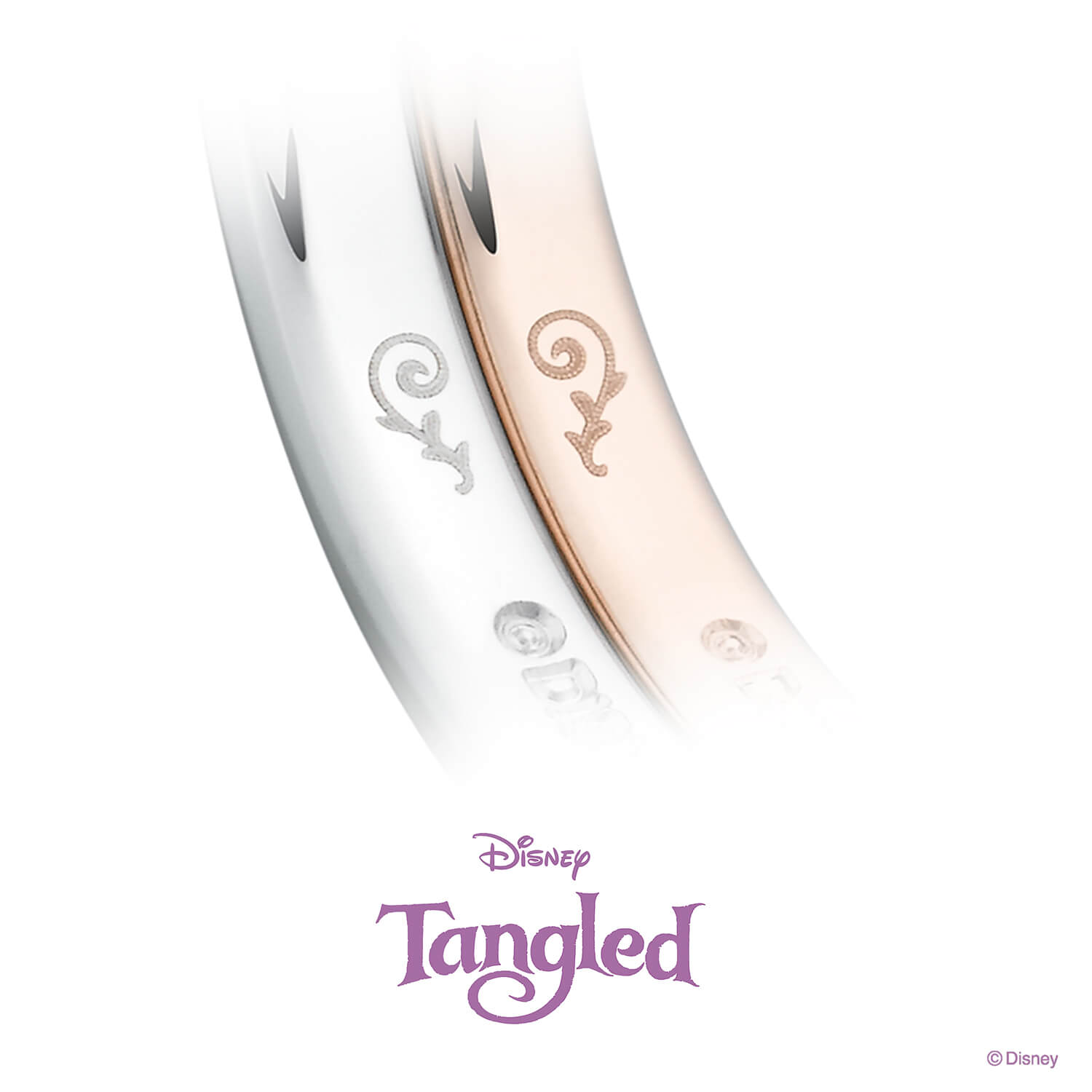 Disneyラプンツェルディズニーラプンツェルの内側の刻印
